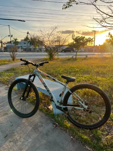 Bike Aro 29
