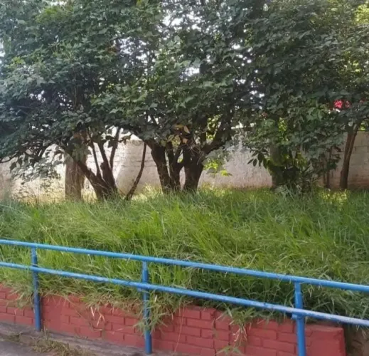 Jardineiro
