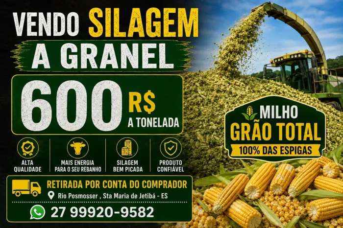 Silagem Grao Total Granel