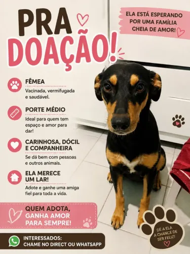 Doação