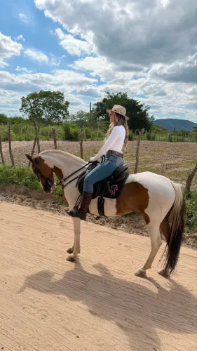 Vendo Égua top de marcha picada