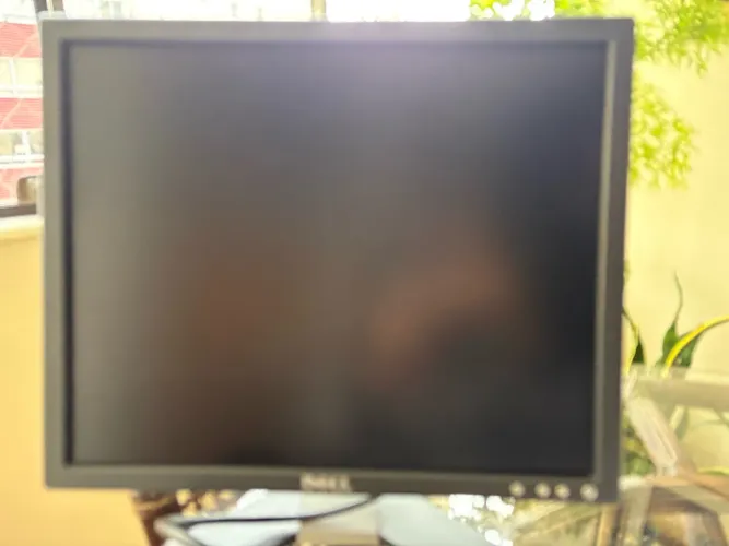 Monitor Dell