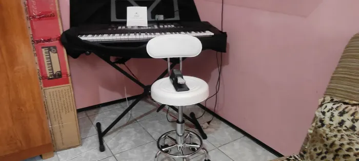 TECLADO MUSICAL PEGASUS 222 PROFISSIONAL