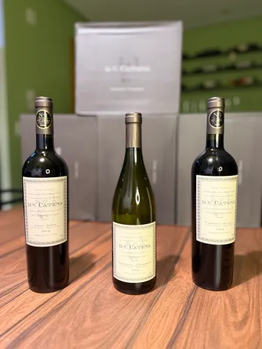 Vinho Dv catena 