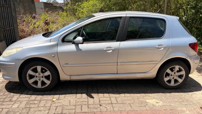 Peugeot 307 Soleil/ Presence 1.6/1.6 Flex 16V 5P 2010