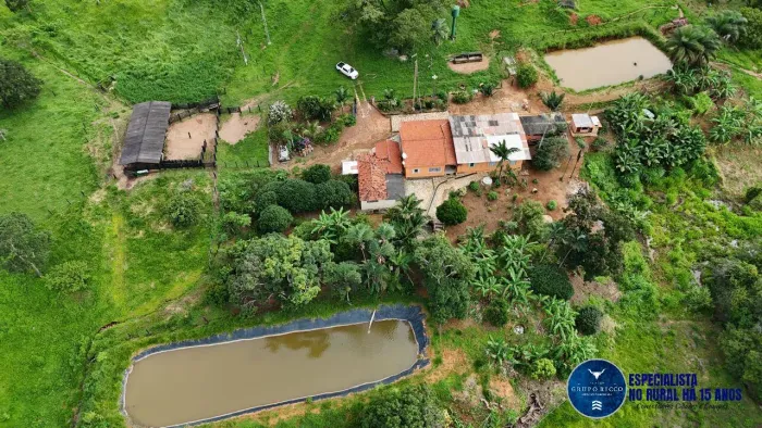 Fazenda à Venda em Abadiânia - GO | 25 Alqueires | Rica em Água