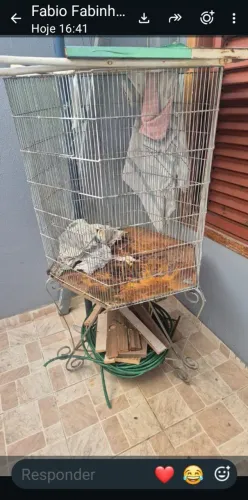 Vendo