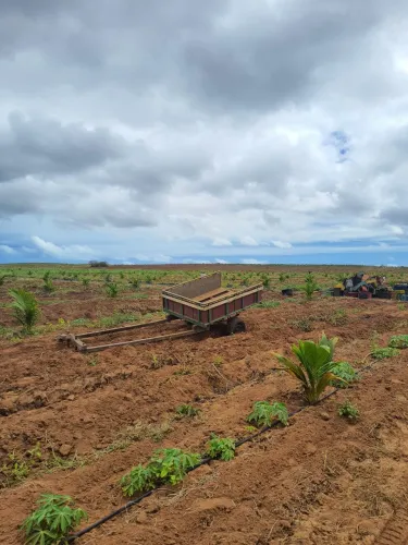 Fazenda/Sítio/Chácara para venda tem 2 metros quadrados em Centro - Touros - Rio Grande do