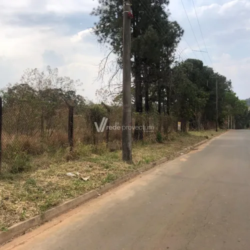 área - Chácara Monte Alegre - Sumaré