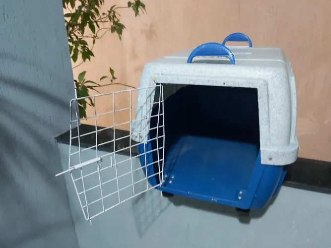 Casinha de transporte para pet - Tamanho grande 