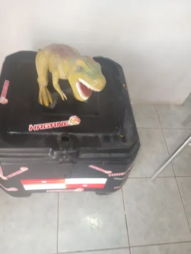 Baú pra moto