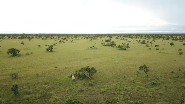 Fazenda gigante 83 mil Hectares a venda em São Felix do Araguaia no Mato Grosso!