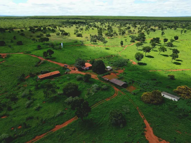Fazenda à venda em Bocaiuva-Mg 
