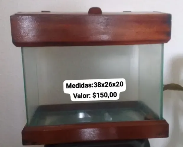 Aquário pequeno com móvel