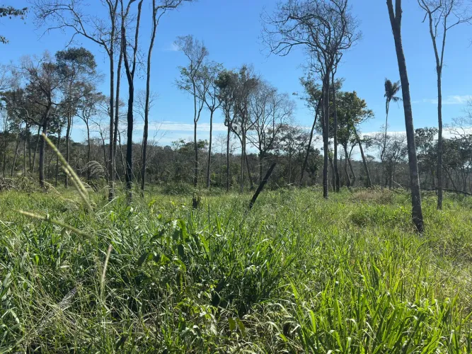 Terra em área rural Vilhena