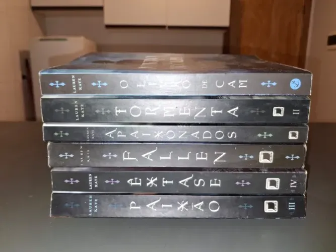 LIVROS DA SAGA FALLEN + LIVRO DO CAM