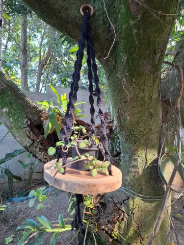 Suporte de plantas em madeira e macramê