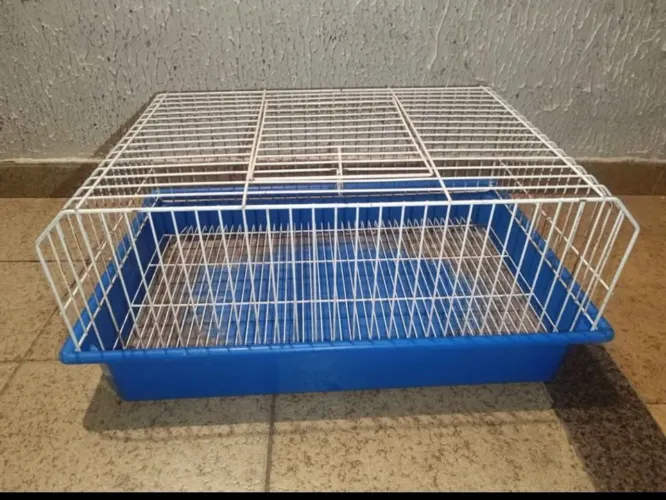 Gaiola para roedores