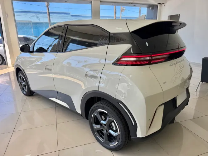 BYD Dolphin Mini (Elétrico) 2025