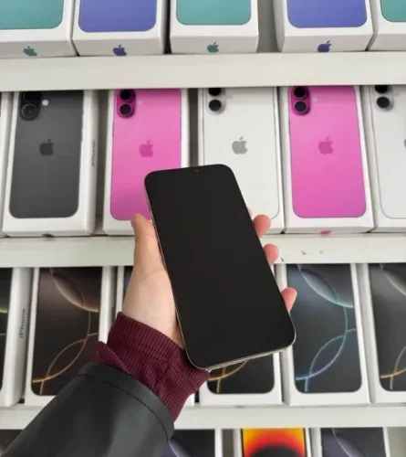 iPhone 12 Pro Max Conservado