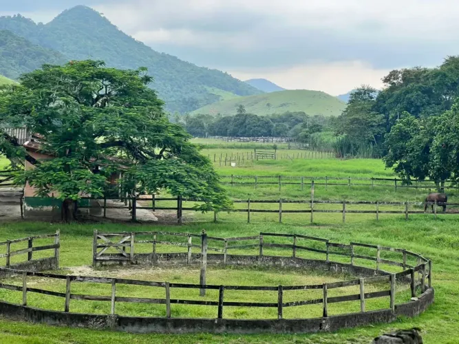 GADOS E CAVALOS HARAS COM 40 BAIAS A 1:00 DO RIO SENTIDO REGIÃO DOS LAGOS
