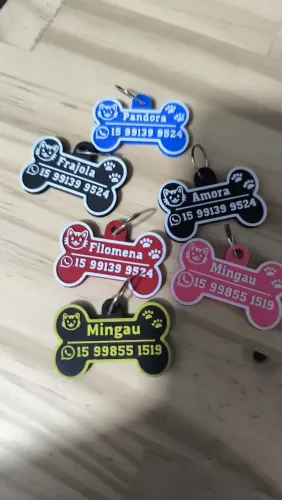 Placa de identificação para gatos com nome e WhatsApp 
