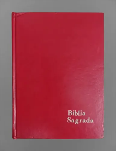 Bíblia Sagrada Tradução dos textos originais Pontifício Instituto Bíblico De Roma 1967