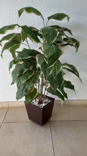PLANTA COM VASO EM MADEIRA E RODINHAS