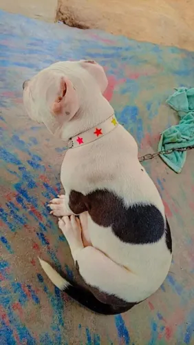 Pit monster