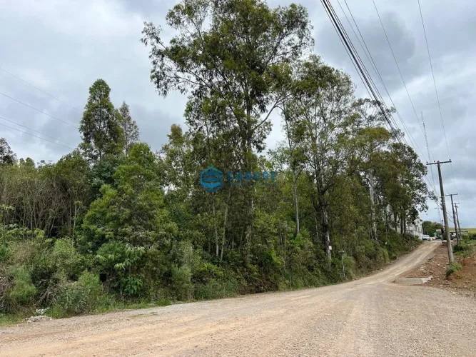 Terreno RS122 com 29.096m² saida para Flores Cunha
