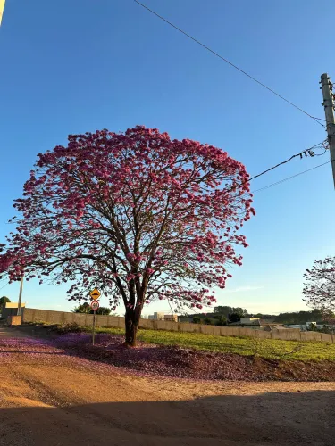 Chácara