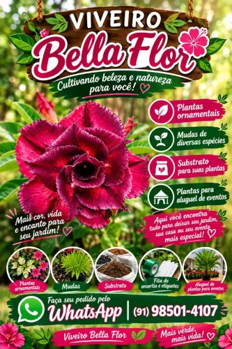 Plantas