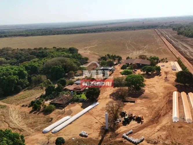 Fazenda 282,56 alqueires (1.367 hectares) Figueirópolis - TO