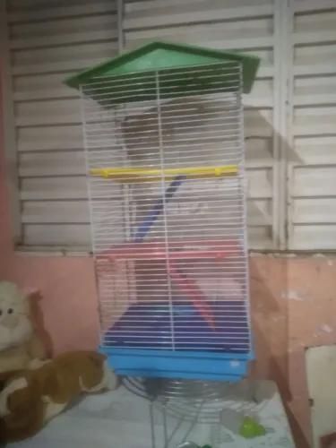 Gaiola grande 4 andar hamster ou calopisita