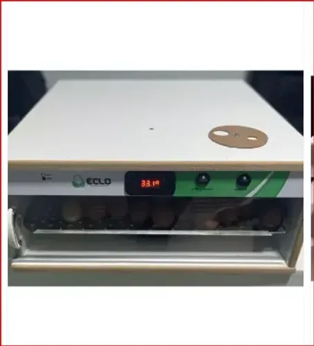 CHOCADEIRA ELÉTRICA