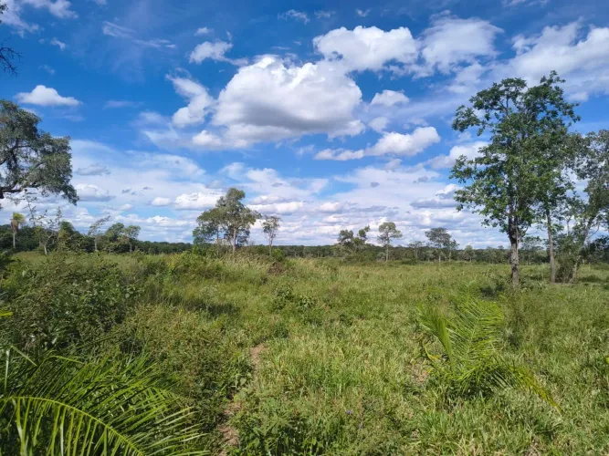 Vendo chácara 30 hectares fundo com rio