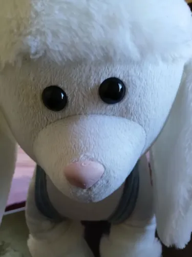 Cachorrinha Branca Criamigos