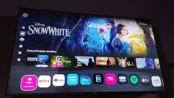 TELEVISÃO