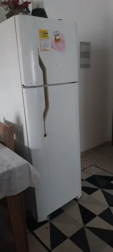 Vendo geladeira marca Electrolux, ela está com problemas no motor, ela liga porém desliga