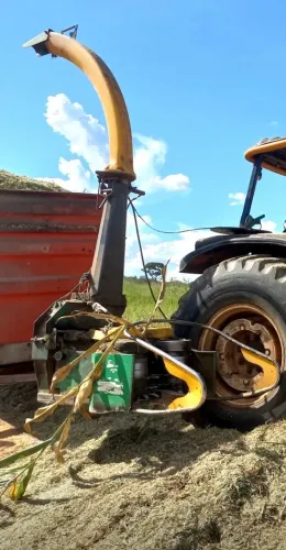 Forrageira jf c 120 cardam com duas plataformas