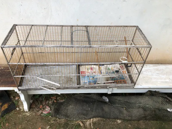 Gaiola de passarinho grande