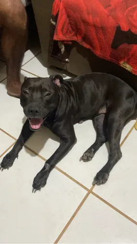 Doação
