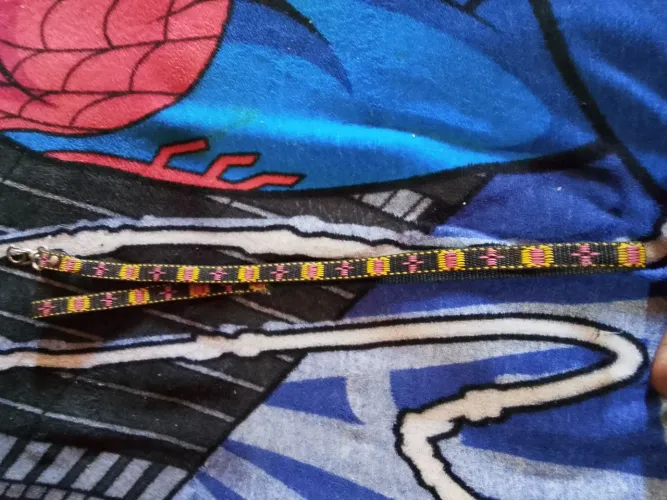 eu tenho uma coleira de cachorro ? filhote pra passear com seu pet