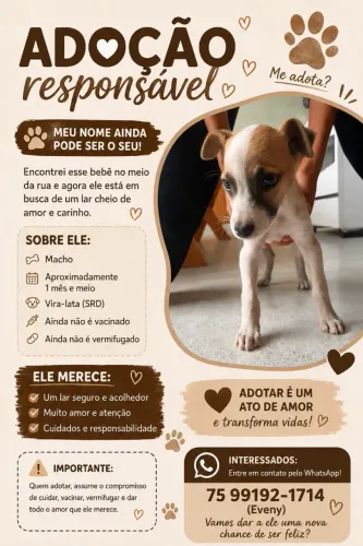 Doando Filhote de Cachorro