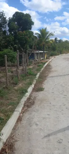 Terreno escriturado a 500 MT da BR 408 e da entrada principal da cidade de Paudalho.