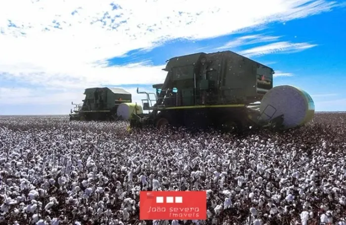 Fazenda para Venda em Primavera do Leste