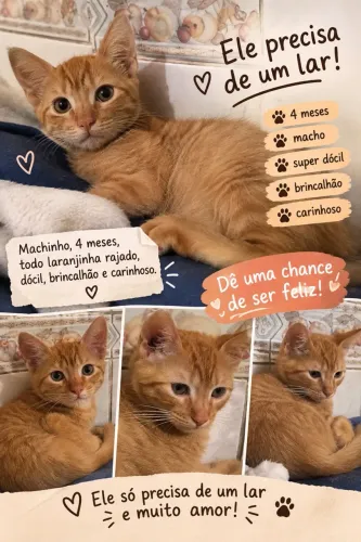 Doação