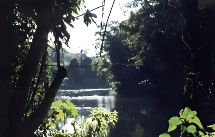 FAZENDA 269 HECTARES - COMPENSAÇÃO AMBIENTAL - CRÉD. CARBONO - MATA ATLÂNTICA - ESTADO SP