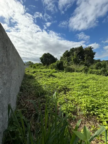 Terreno na Taquara Medindo 300m² plano