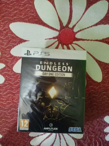Endles Dungeon Day one Edition PS5